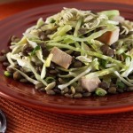 orie-lentil chicken salad